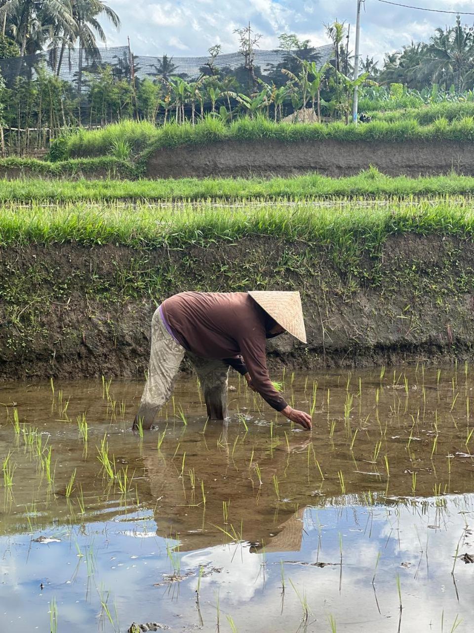 Karang Dukuh * Payangan